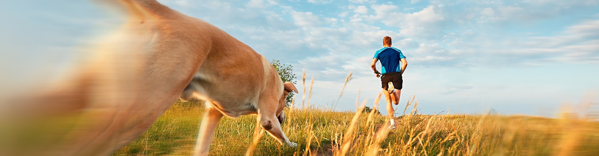 Corporate History And The Story behind SINGEN Pet Health | SINGEN for Pet Owners