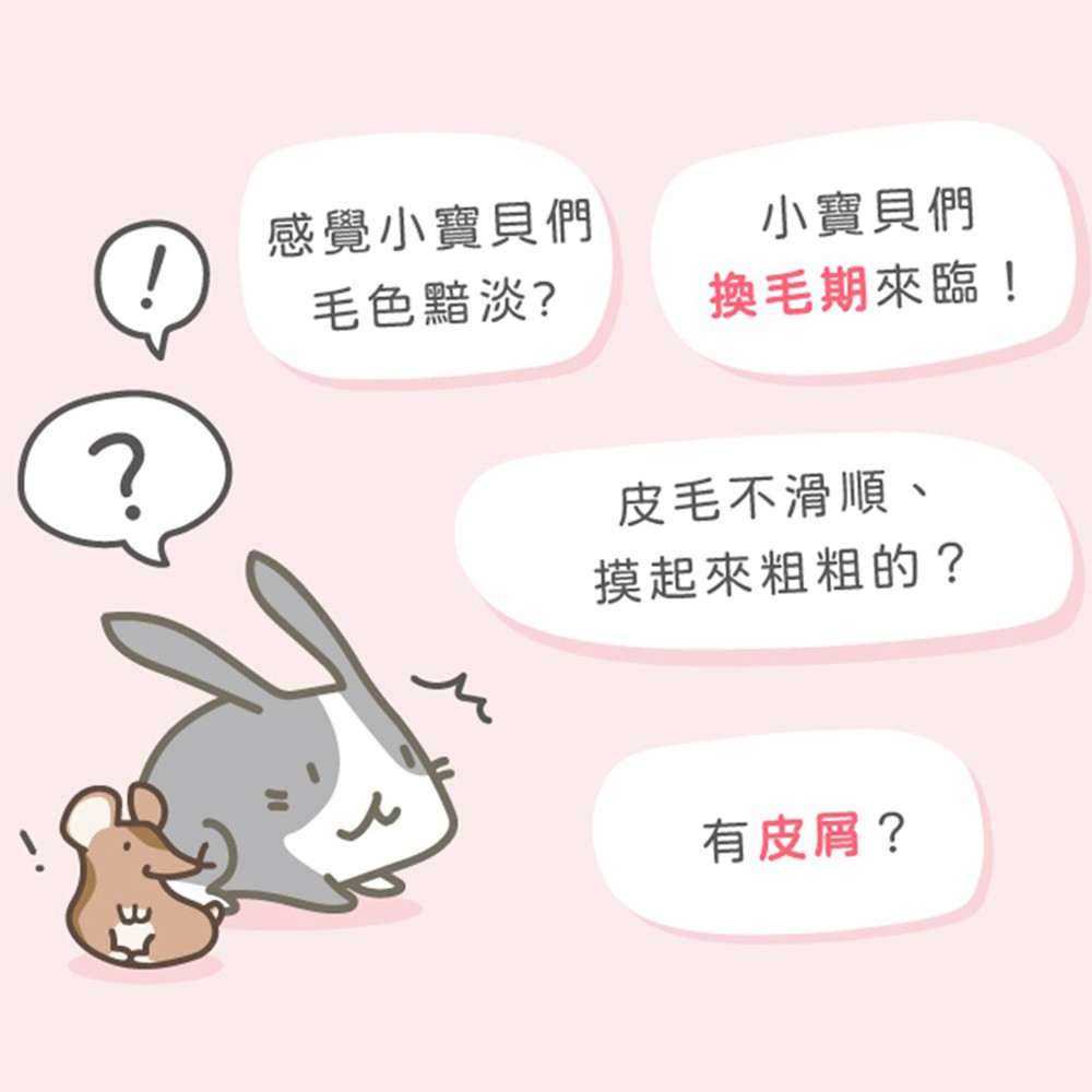 SINGEN 信元發育寶 鼠貂兔用柔軟亮麗強健毛髮營養配方-60g/罐-哈密瓜風味 小寵物保健食品 小寵物保健 特寵保健 美毛寶