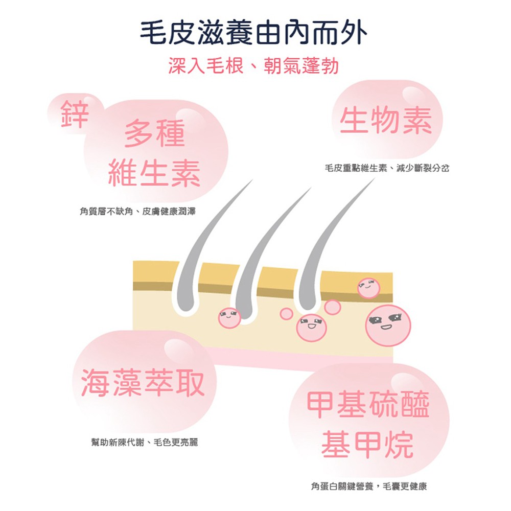 SINGEN 信元發育寶 鼠貂兔用柔軟亮麗強健毛髮營養配方-60g/罐-哈密瓜風味 小寵物保健食品 小寵物保健 特寵保健 美毛寶