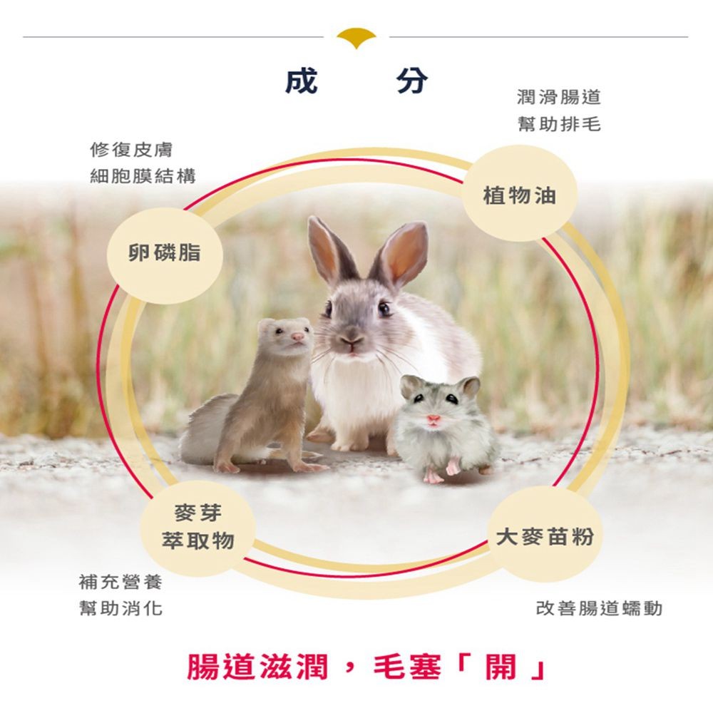SINGEN 信元發育寶 鼠貂兔用化毛成分營養膏-50g/條-小寵物保健食品 小寵物保健 特寵保健