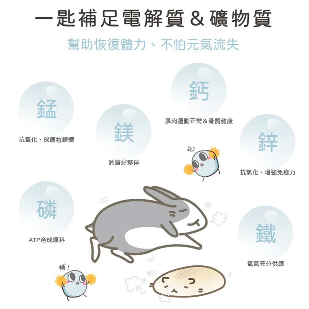 SINGEN 信元發育寶 鼠貂兔用運動補充營養配方-60g/罐-哈密瓜風味 小寵物保健食品 小寵物保健 特寵保健 礦力寶